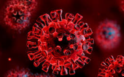 COVID-19 Deaths Rise to 247, Infections Spike to 13,524
