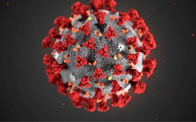 A Decrease in COVID-19 Related Deaths in SA