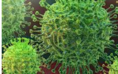 South Africa Breaches Seven Hundred Thousand COVID-19 Infections Mark