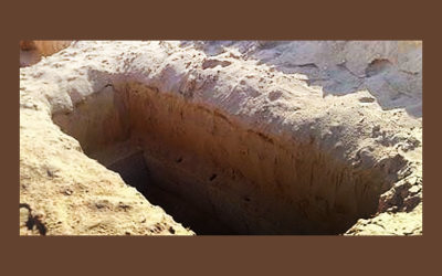 Title: Ummah orphaned by loss of senior Ulama – Shaykh Shoaib Ahmed