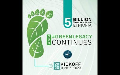 Ethiopia to Mass Plant Five Billion Trees Despite Coronavirus Pandemic