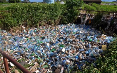 Single-Use Plastics Banned from Kenya Beaches and Parks
