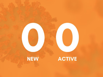 What helped New Zealand beat Covid-19?