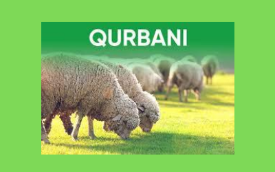 Qurbani Across the Continents – Part 2