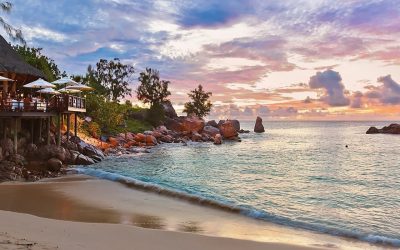 100,000 Trees to Be Planted in Seychelles By End December