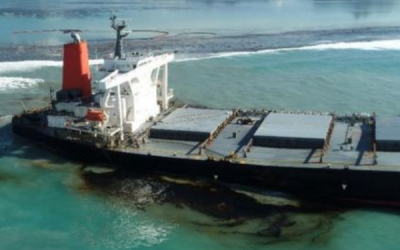 The Mauritius Oil Spill