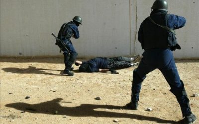 Saudi Arabia Dismantles ‘Terror Cell’