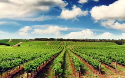 Zimbabwe to Return Seized Land to Farmers