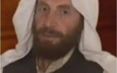 Second in Command of al-Qaida Killed