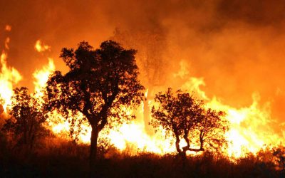 Two Killed in Algeria Wildfires