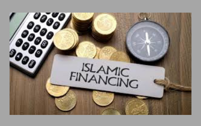 A snapshot of the Year in Islamic Finance