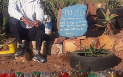 PE Man changes his life and transforms dump  into a community space