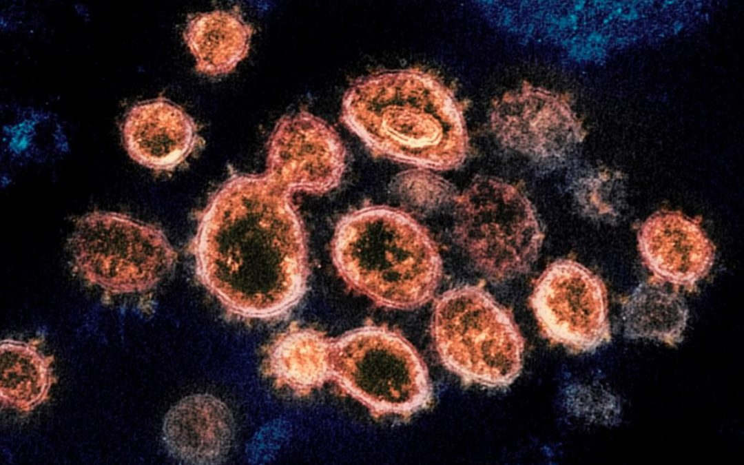 Health Dept: No B.1.617 COVID Variant Detected & No Direct Flights from India to SA