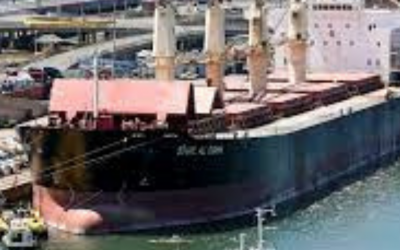 Indian cargo ship “quarantined” at Durban harbour as crew awaits COVID-19 test results