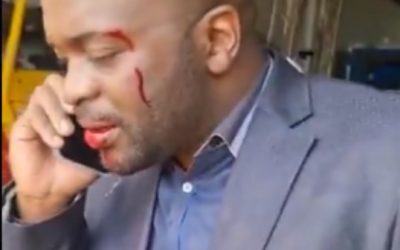 Watch: DA Leader Solly Msimanga Beaten Up in Viral Video