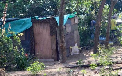 Living rent-free in a green belt bordering an upmarket eco-estate