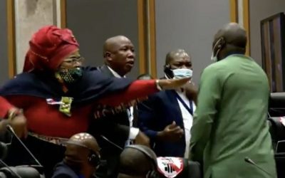 [LISTEN] Professor Andre Duvenhage: Chaotic Scenes at Pan African Parliament Reflects Bad Image of the Institution