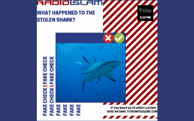 Fake Fact Check – What Happened To The Stolen Shark?