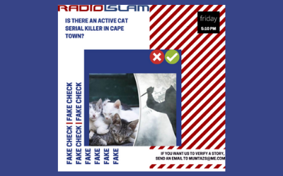 Fake Fact Check – Is There An Active Cat Serial Killer In Cape Town?