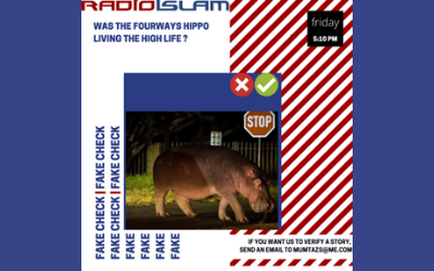 Fake Fact Check – Was The Fourways Hippo Living The High Life?