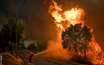 Portuguese Firefighters Battle Wildfire as Heatwave Persists