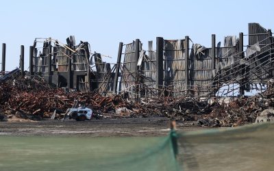 [LISTEN] Susan Comrie: “There’s Not been near Any Level of Accountability or Transparency in Durban UPL Toxic Chemical Warehouse Disaster”