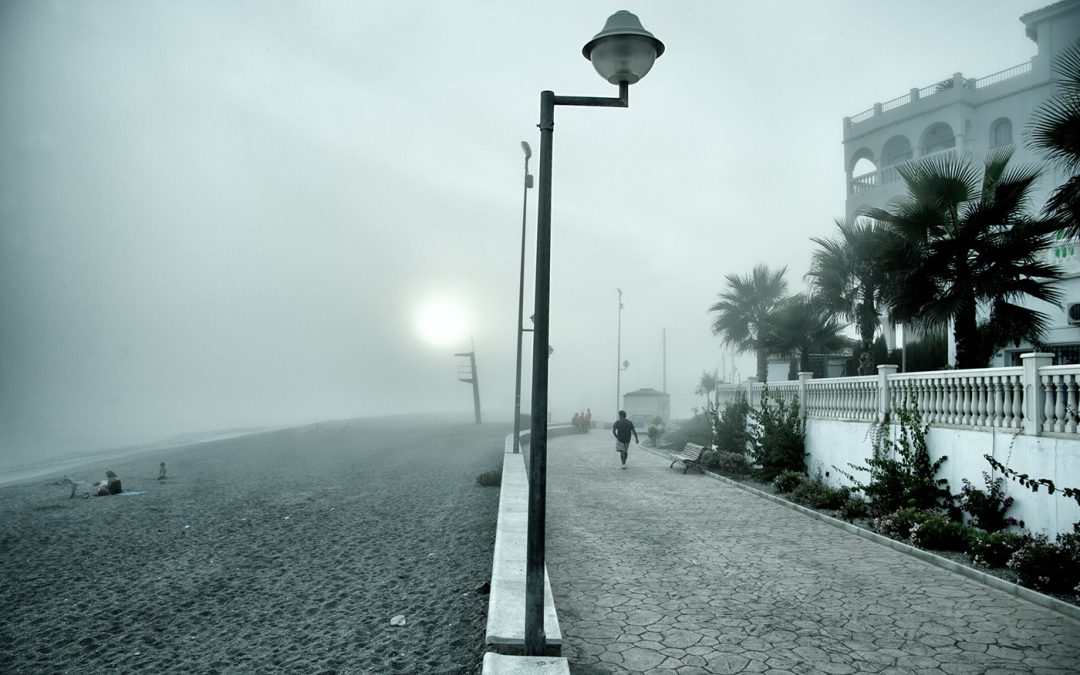 US: Residents Flee as Hurricane Ida Heads for Louisiana