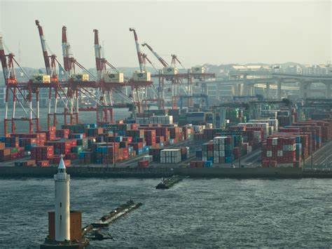 Food Shortage Expected While Meat Waits at Durban Harbour