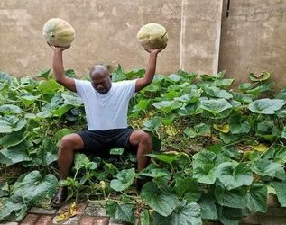 The Cabbage Bandit : How one man started a cabbage revolution