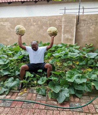 The Cabbage Bandit : How one man started a cabbage revolution
