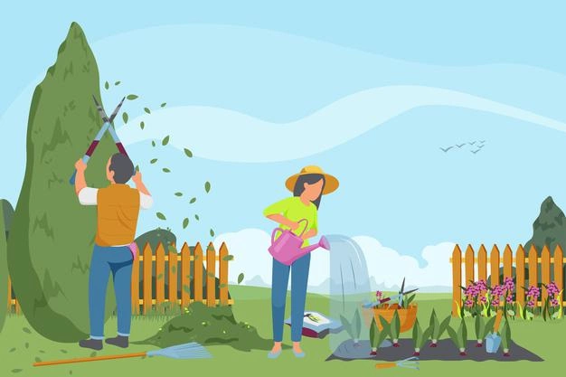 Gardening Tips for Beginners