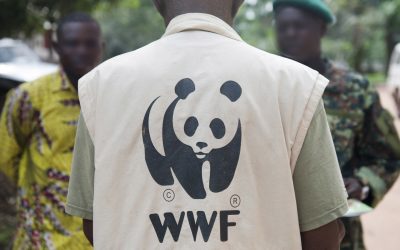 US accuses WWF of deceit and covering-up abuses
