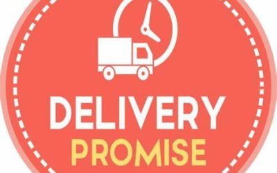 The Glittering Promise of Service Delivery