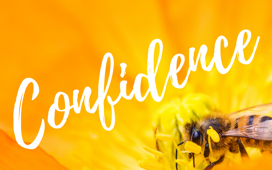 Productive Life Coaching: Confidence