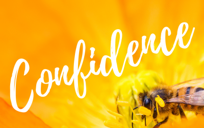 Productive Life Coaching: Confidence