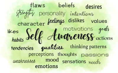 Productive Life Coaching: Self-Awareness