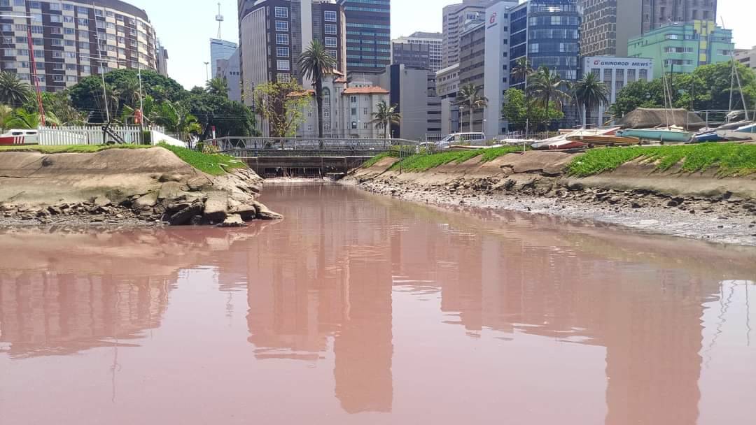 DA considers suing eThekwini Municipality for Durban Harbour spill