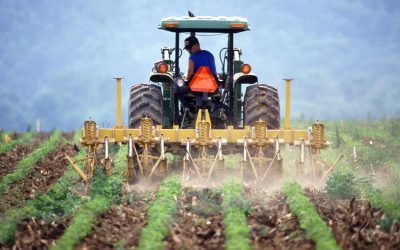 Farming Communities Ask to Be a Priority This Festive Season
