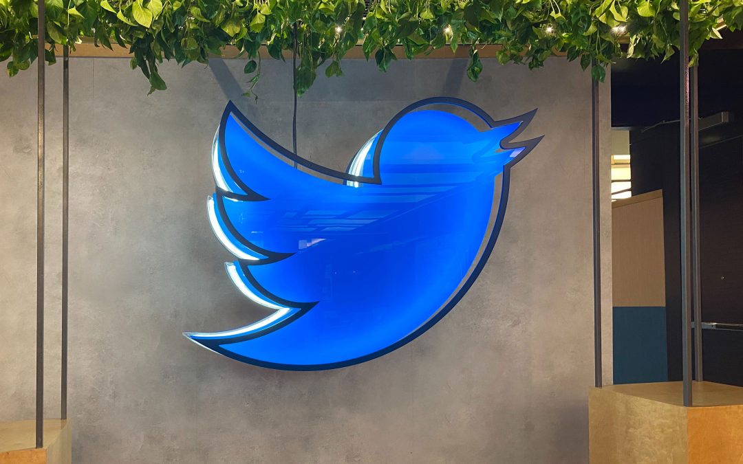 Twitter Not Doing Enough to Protect Women from Online Abuse: Amnesty International SA