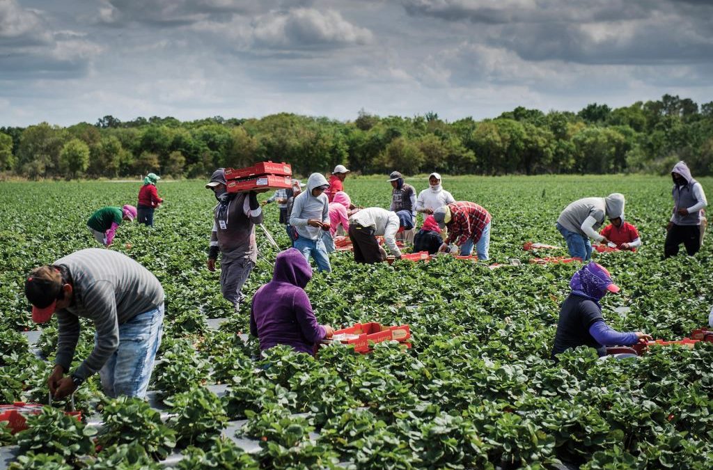 Farmers in KZN are struggling to access relief fund.