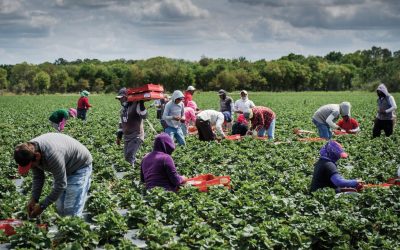 Farmers in KZN are struggling to access relief fund.