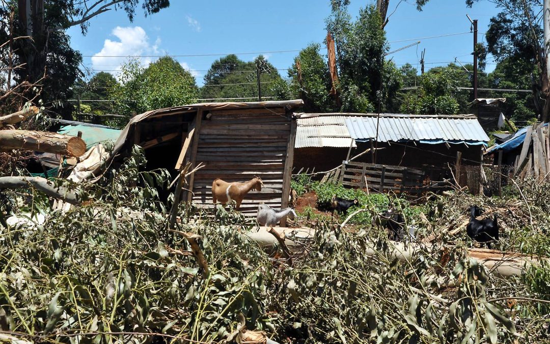 uMngeni Local Municipality wants the area declared a local disaster