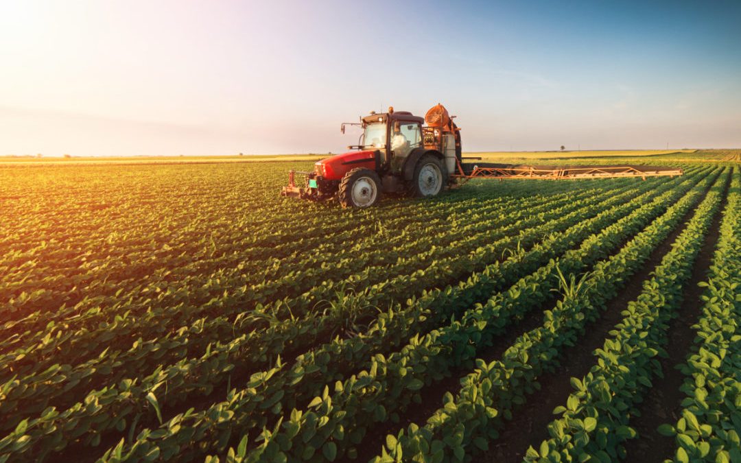Young Farmers Harnessing The Power of Social Media
