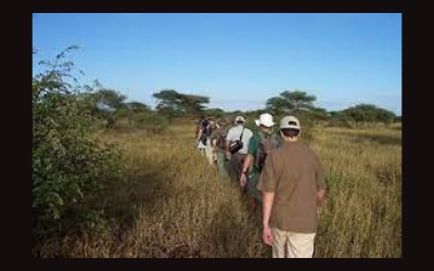 Outdoor And Wildlife Program – Hiking In The Kruger Park