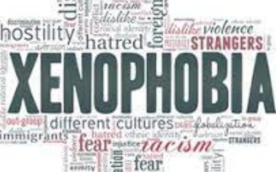 Prof Loren Landau: Operation Dudula and the rising Xenophobia in SA