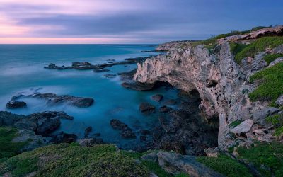 [LISTEN] Green Connection Victory Against Survey Company ‘Seismic’