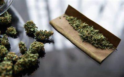 Dagga Day’ Videos go Viral: 36 Learners Suspended