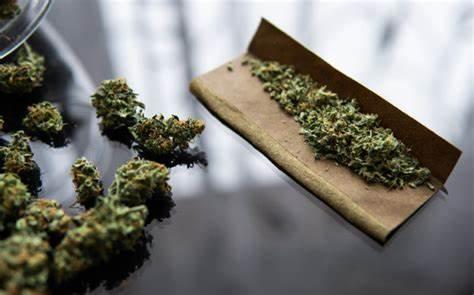 Dagga Day’ Videos go Viral: 36 Learners Suspended