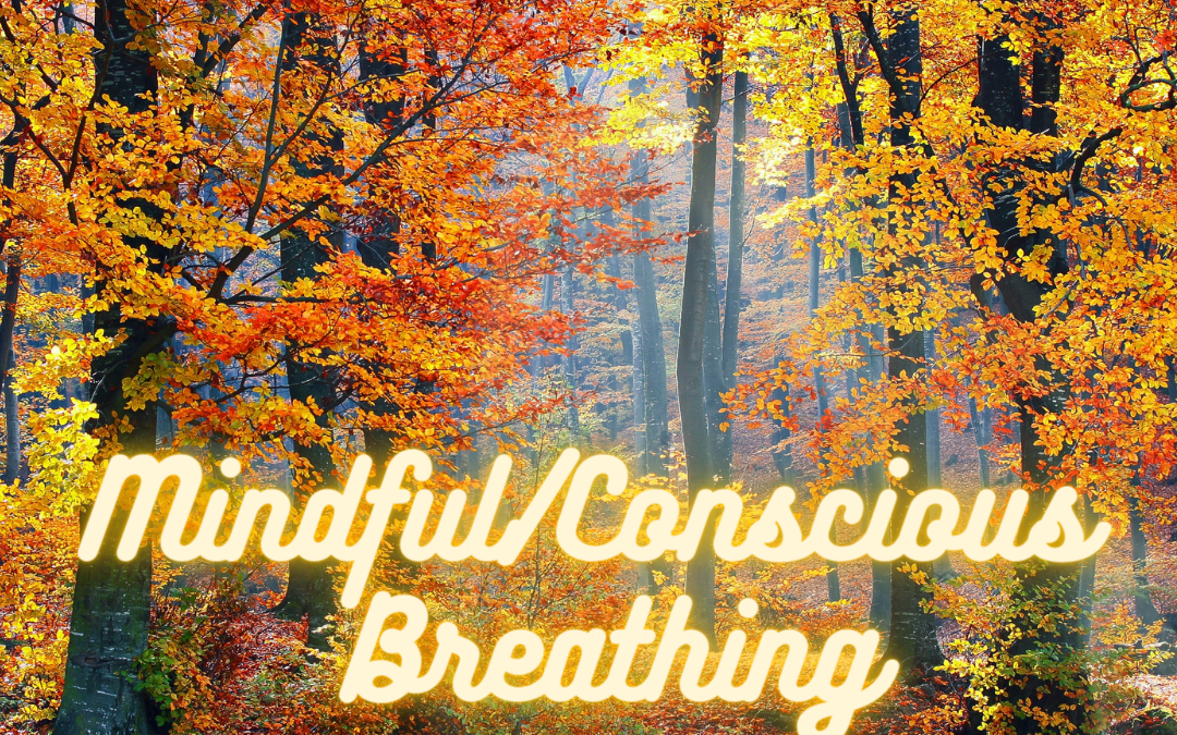 PRODUCTIVE LIFE COACHING: CONSCIOUS/MINDFUL BREATHING