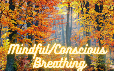 PRODUCTIVE LIFE COACHING: CONSCIOUS/MINDFUL BREATHING